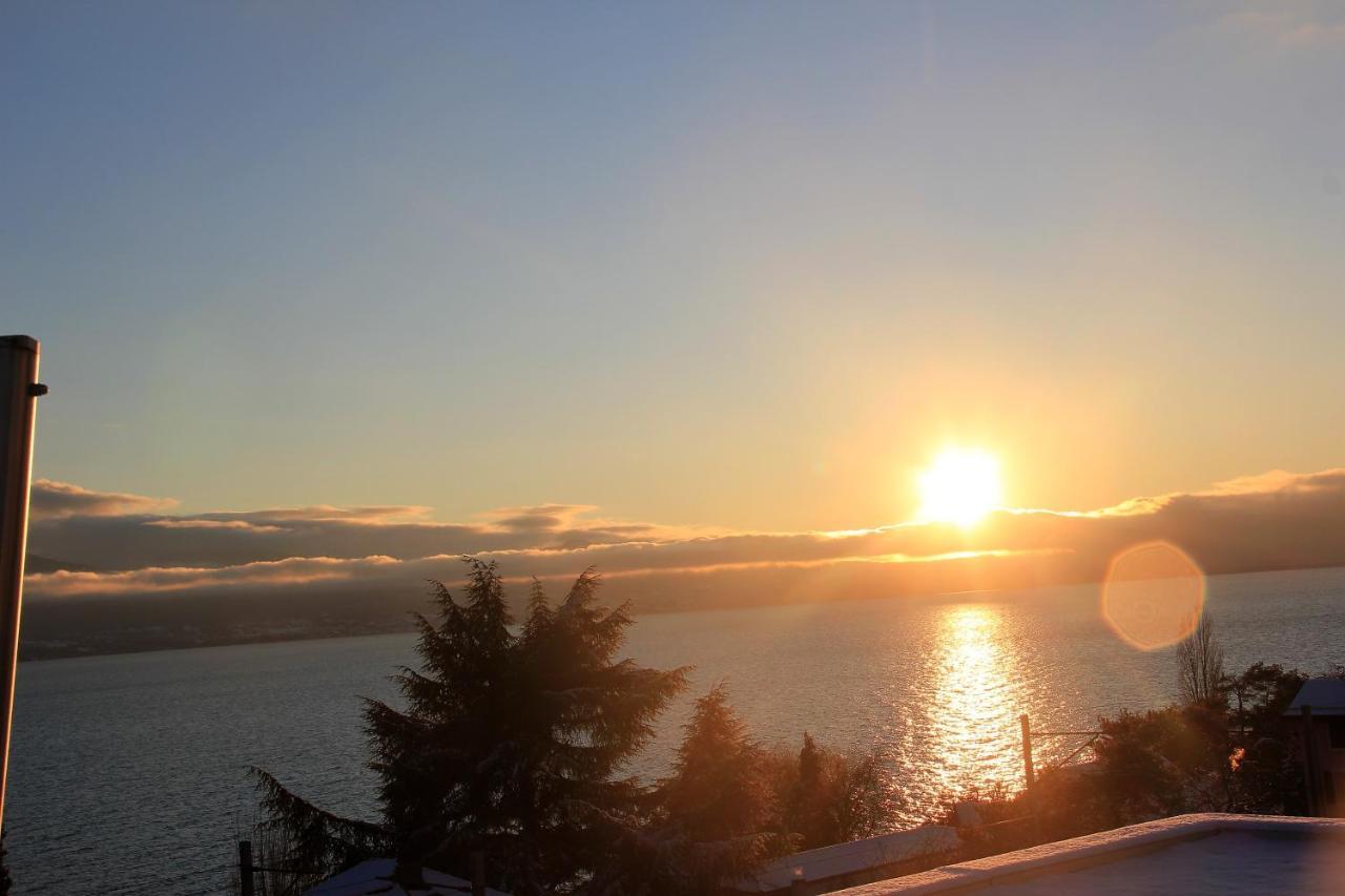 Lavaux 4* Cully