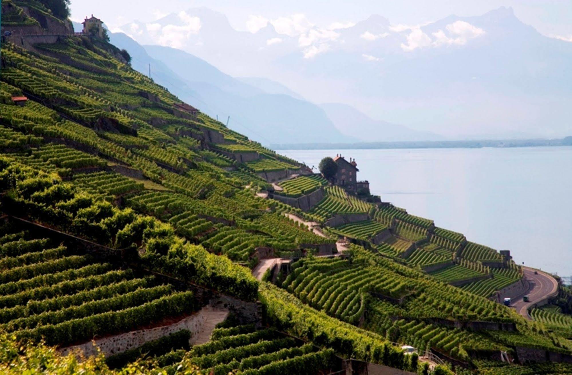 Lavaux Hotel Cully